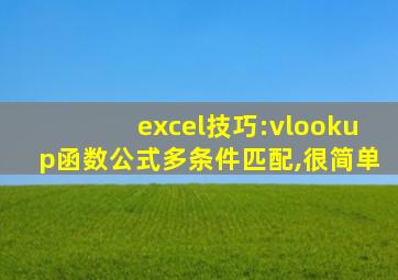 excel技巧:vlookup函数公式多条件匹配,很简单