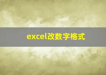 excel改数字格式