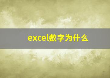 excel数字为什么