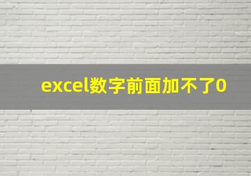 excel数字前面加不了0