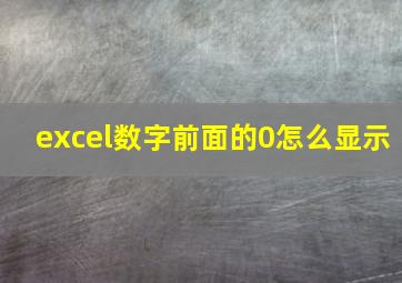 excel数字前面的0怎么显示