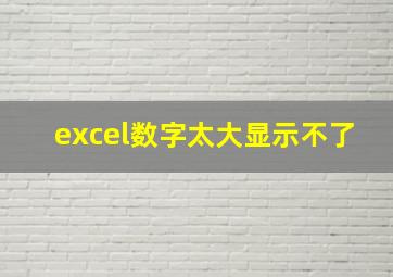 excel数字太大显示不了