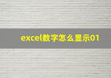 excel数字怎么显示01