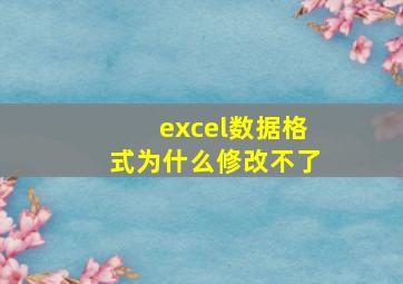 excel数据格式为什么修改不了