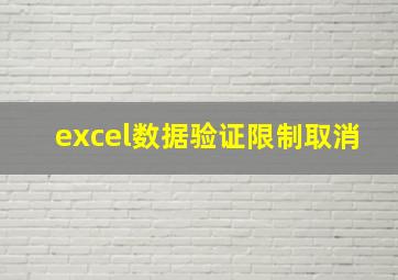 excel数据验证限制取消