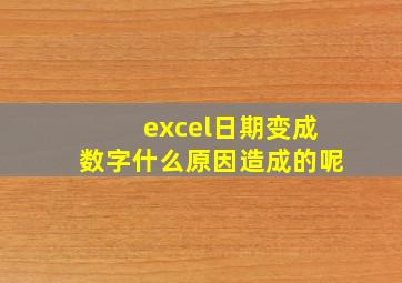 excel日期变成数字什么原因造成的呢