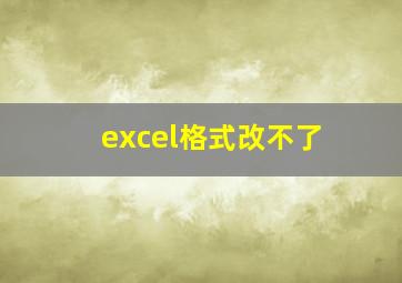 excel格式改不了