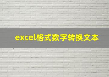 excel格式数字转换文本