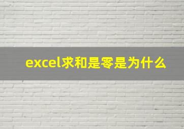 excel求和是零是为什么