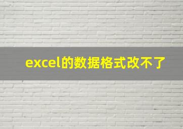 excel的数据格式改不了