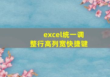 excel统一调整行高列宽快捷键