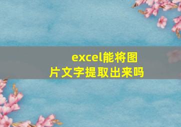 excel能将图片文字提取出来吗