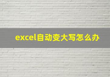 excel自动变大写怎么办