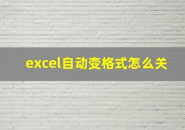 excel自动变格式怎么关