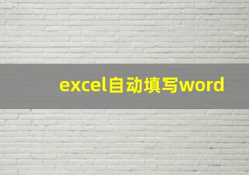 excel自动填写word