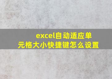 excel自动适应单元格大小快捷键怎么设置