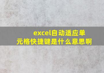 excel自动适应单元格快捷键是什么意思啊