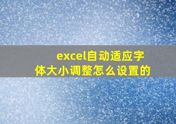 excel自动适应字体大小调整怎么设置的