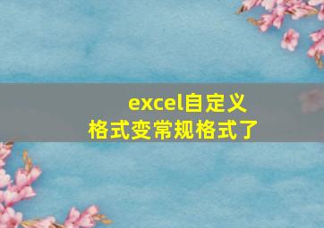 excel自定义格式变常规格式了