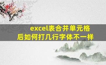 excel表合并单元格后如何打几行字体不一样