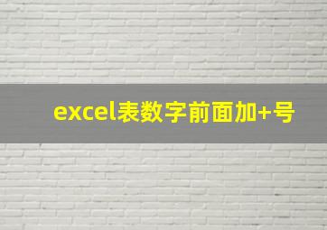 excel表数字前面加+号