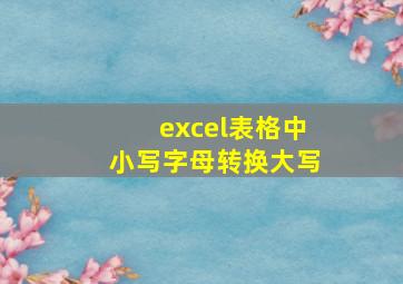 excel表格中小写字母转换大写