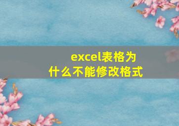 excel表格为什么不能修改格式