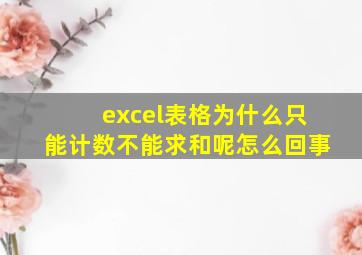 excel表格为什么只能计数不能求和呢怎么回事