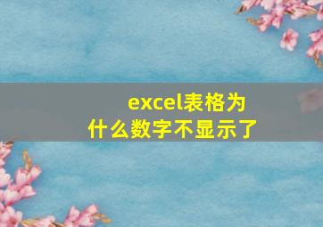 excel表格为什么数字不显示了