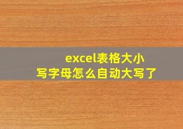 excel表格大小写字母怎么自动大写了