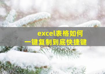 excel表格如何一键复制到底快捷键