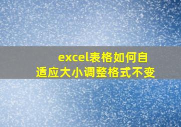 excel表格如何自适应大小调整格式不变