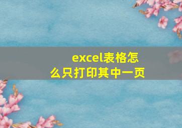 excel表格怎么只打印其中一页