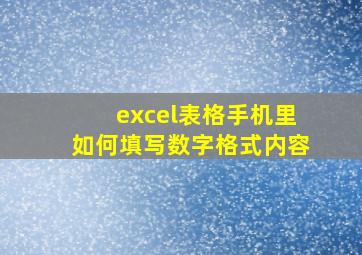 excel表格手机里如何填写数字格式内容