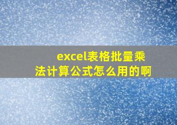 excel表格批量乘法计算公式怎么用的啊