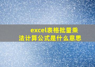 excel表格批量乘法计算公式是什么意思