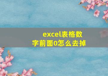 excel表格数字前面0怎么去掉