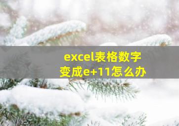 excel表格数字变成e+11怎么办