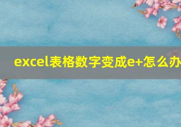 excel表格数字变成e+怎么办