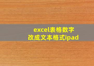 excel表格数字改成文本格式ipad