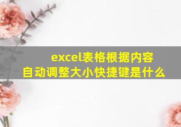 excel表格根据内容自动调整大小快捷键是什么