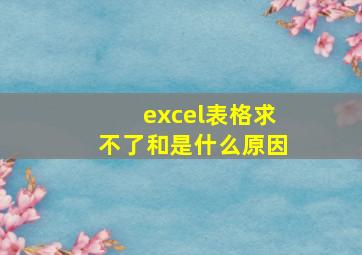 excel表格求不了和是什么原因