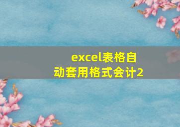 excel表格自动套用格式会计2