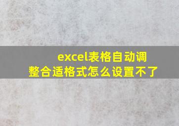 excel表格自动调整合适格式怎么设置不了