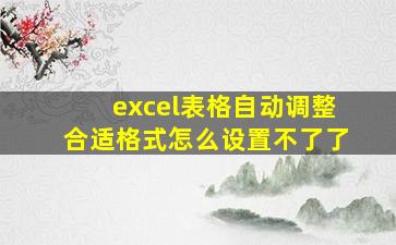 excel表格自动调整合适格式怎么设置不了了