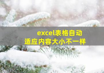 excel表格自动适应内容大小不一样