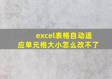 excel表格自动适应单元格大小怎么改不了