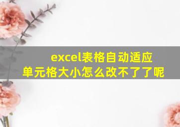 excel表格自动适应单元格大小怎么改不了了呢