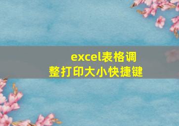 excel表格调整打印大小快捷键