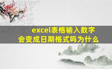 excel表格输入数字会变成日期格式吗为什么